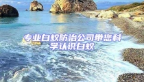 專業白蟻防治公司帶您科學認識白蟻
