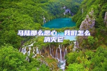 馬陸那么惡心，我們?cè)趺聪麥缢? uk-img class=