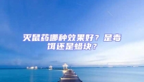 滅鼠藥哪種效果好？是毒餌還是蠟塊？