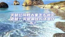 滅鼠公司教大家怎么消滅老鼠？滅鼠最佳方法是什么？