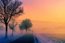 深圳白蟻防治：白蟻比較喜歡食松木、夾板等較為松軟材質(zhì)的家具