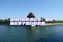 深圳白蟻防治公司：如何確定房子遭白蟻危害