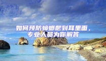 如何預防蟑螂爬到耳里面，專業人員為你解答