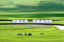 滅鼠公司，滅鼠就找我