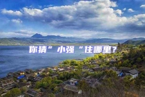 你猜”小強(qiáng)“住哪里？