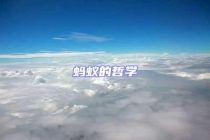 螞蟻的哲學(xué)