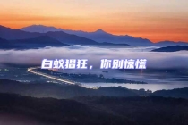 白蟻猖狂，你別驚慌