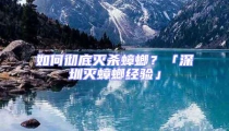 如何徹底滅殺蟑螂？「深圳滅蟑螂經驗」