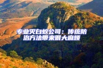 專業滅白蟻公司：傳統防治方法帶來很大麻煩